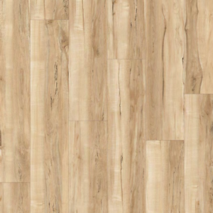 Spalted Maple Ambrosia