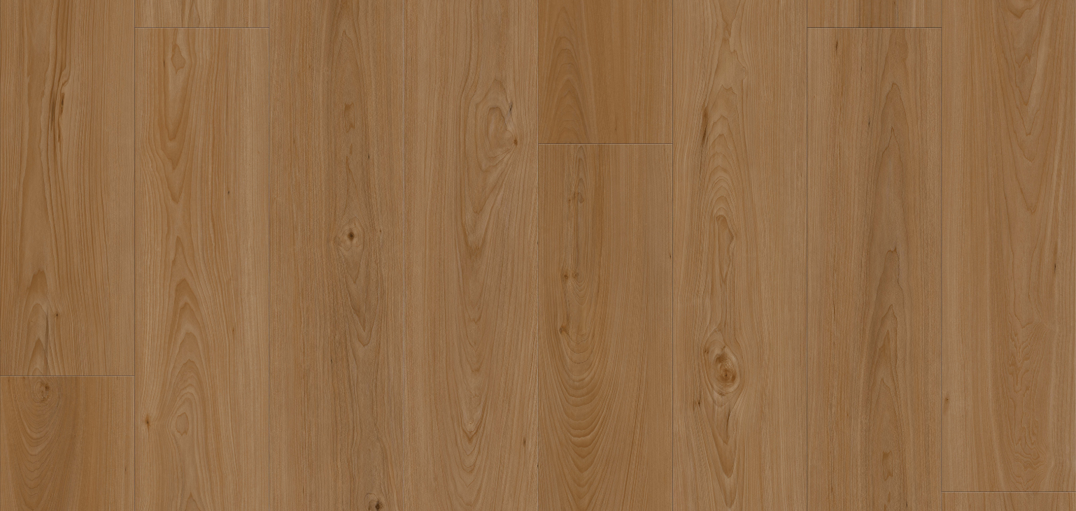 European Almond Oak