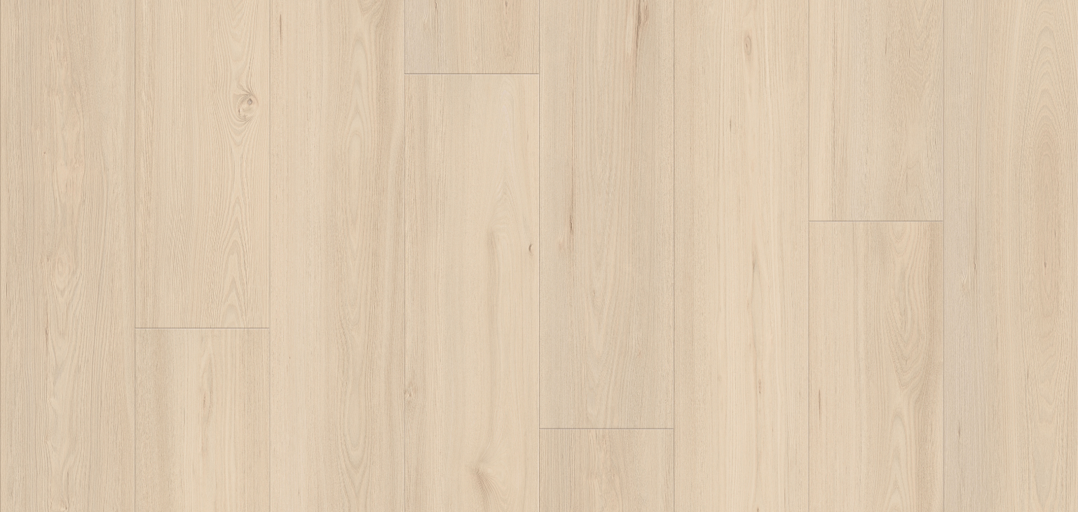 Tasmanian White Oak