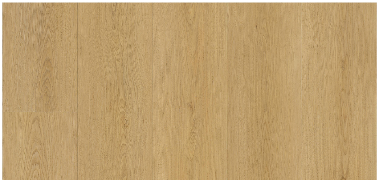 Halo Oak