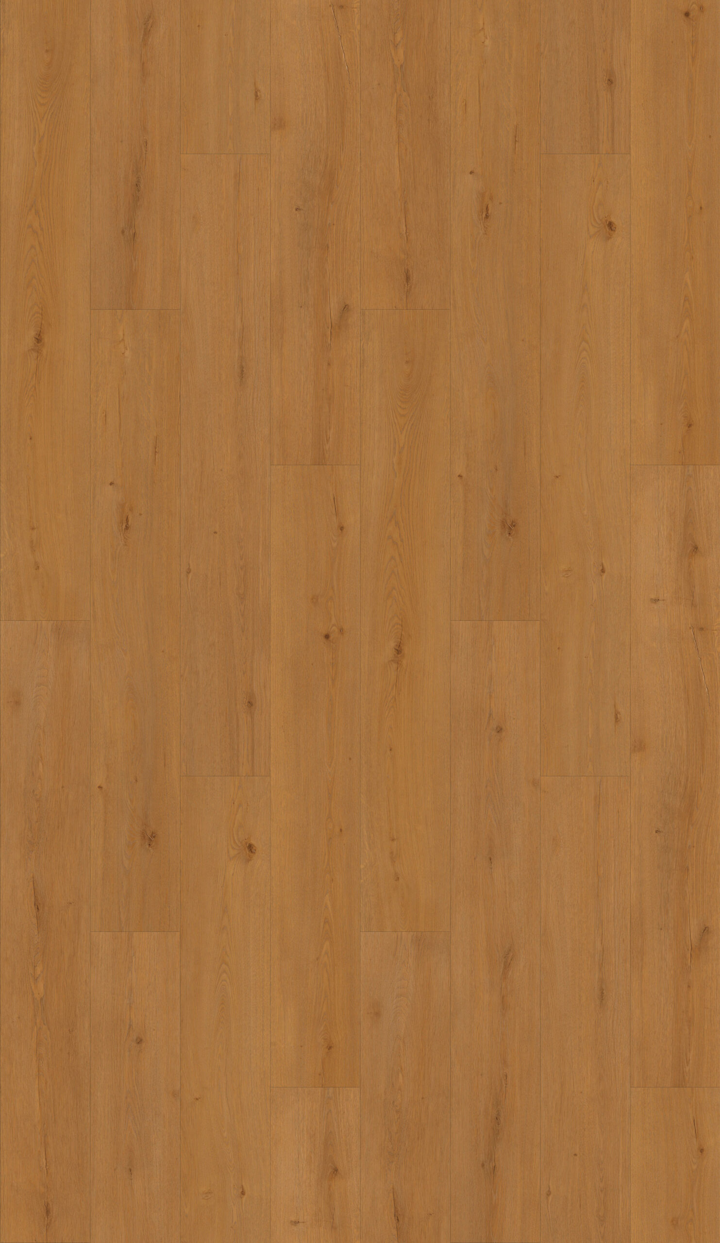 ES131 - Tahoe Mountain Oak