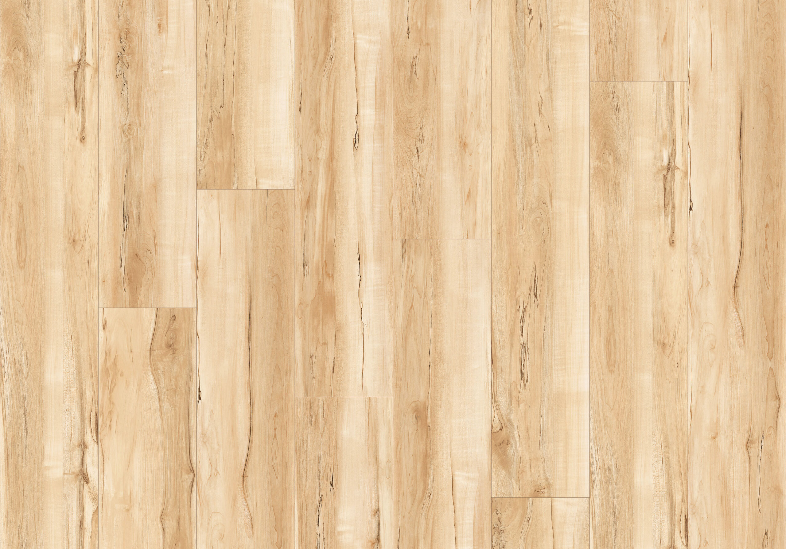 ES133 - Spalted Maple Ambrosia