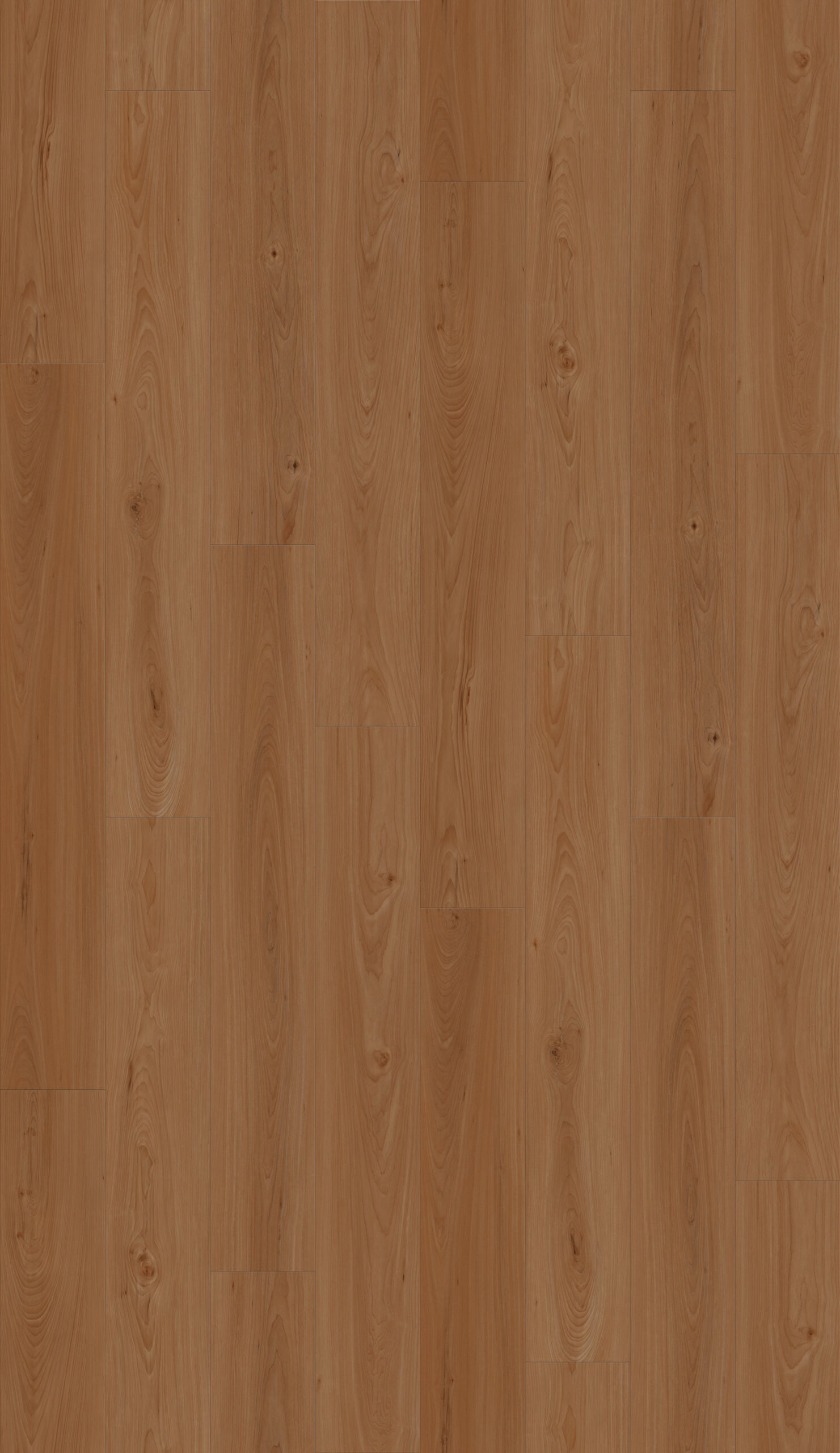 ES135 - European Almond Oak