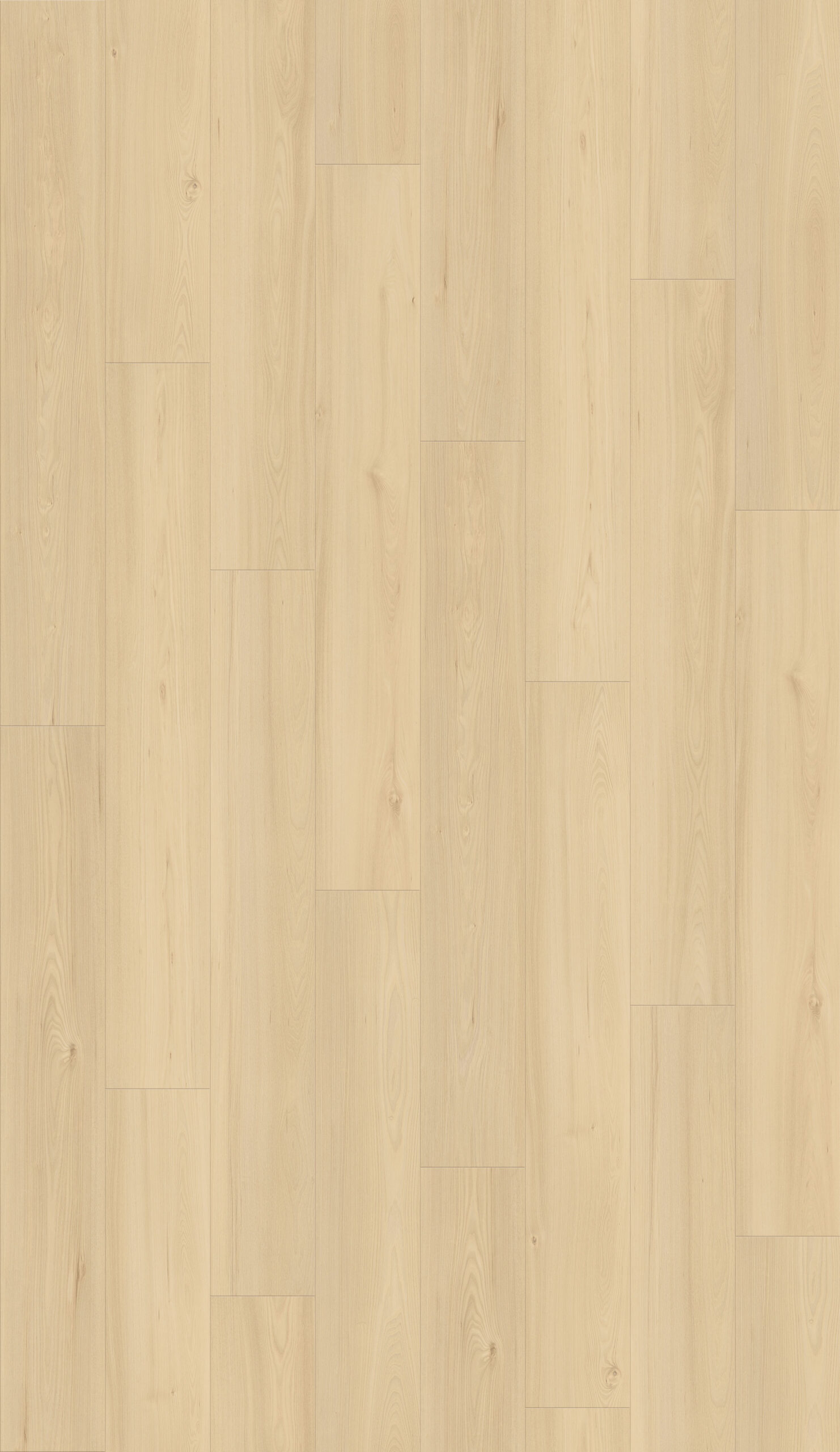 ES137 - Tasmaniam White Oak