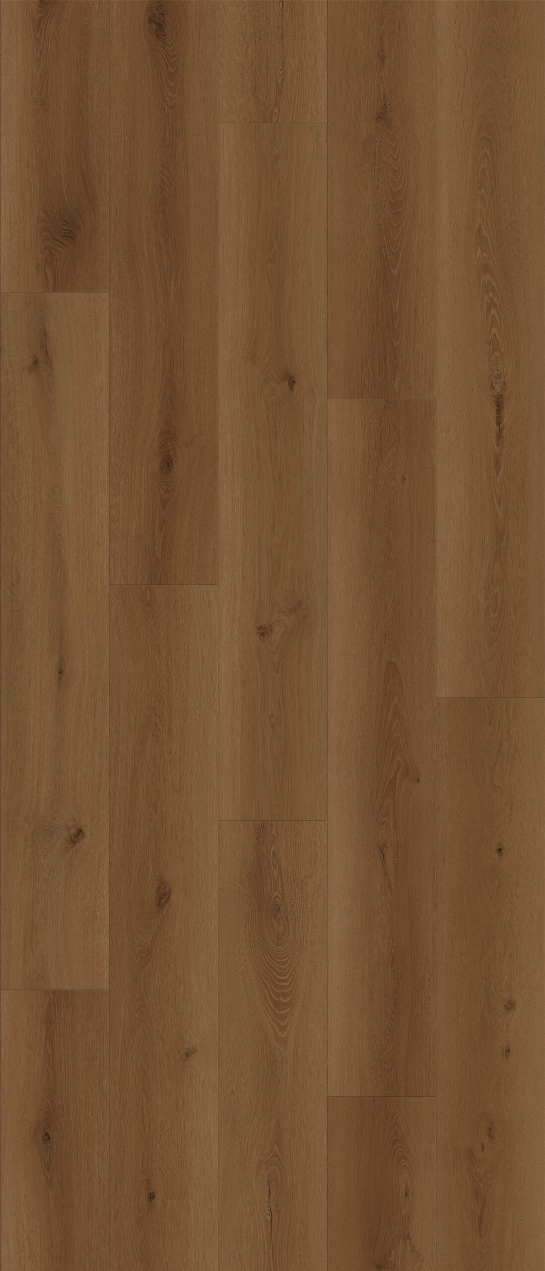 NG202 - Orris