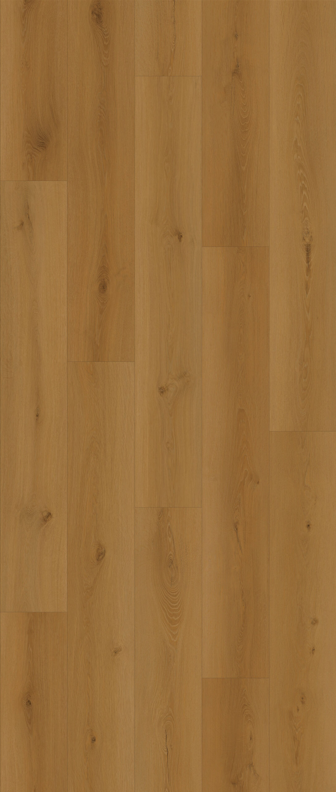 NG204 - Plumed Maple