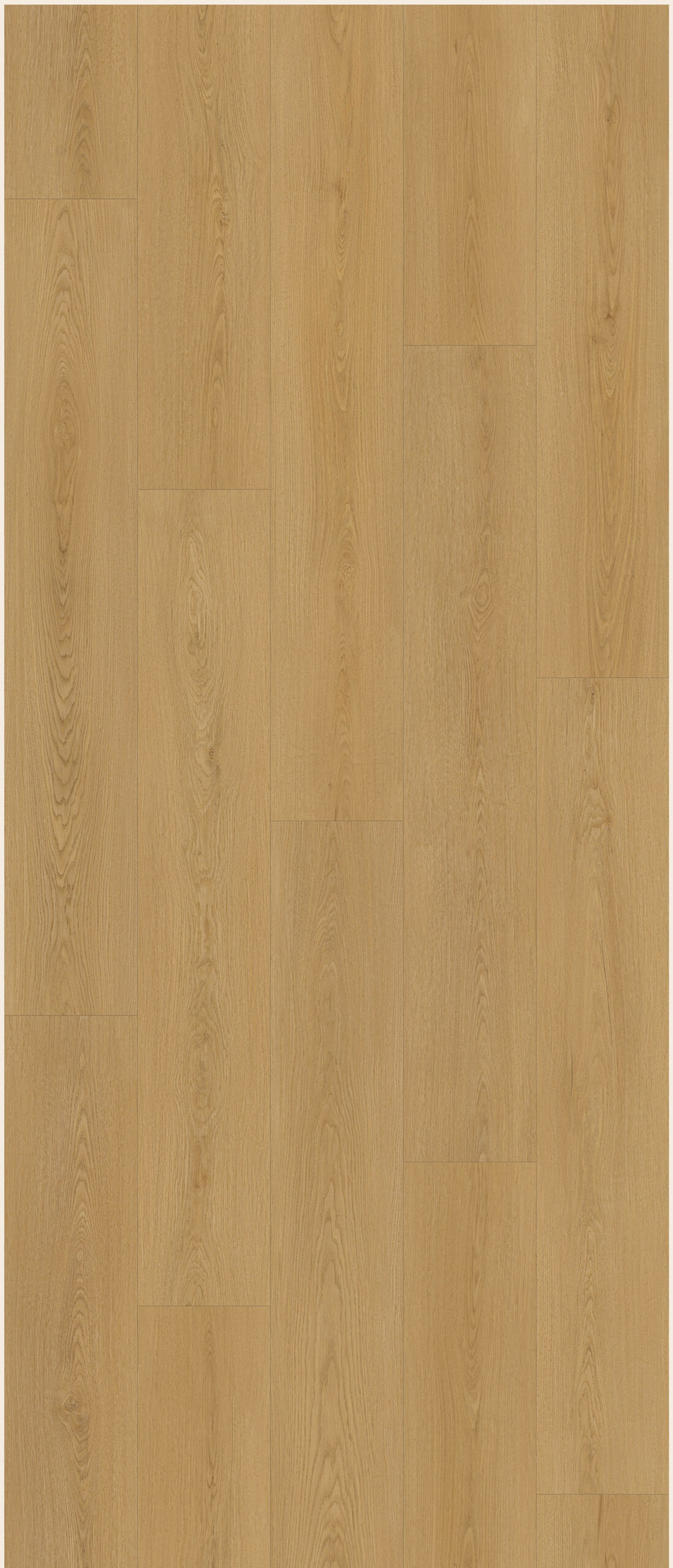 NG206 - Halo Oak