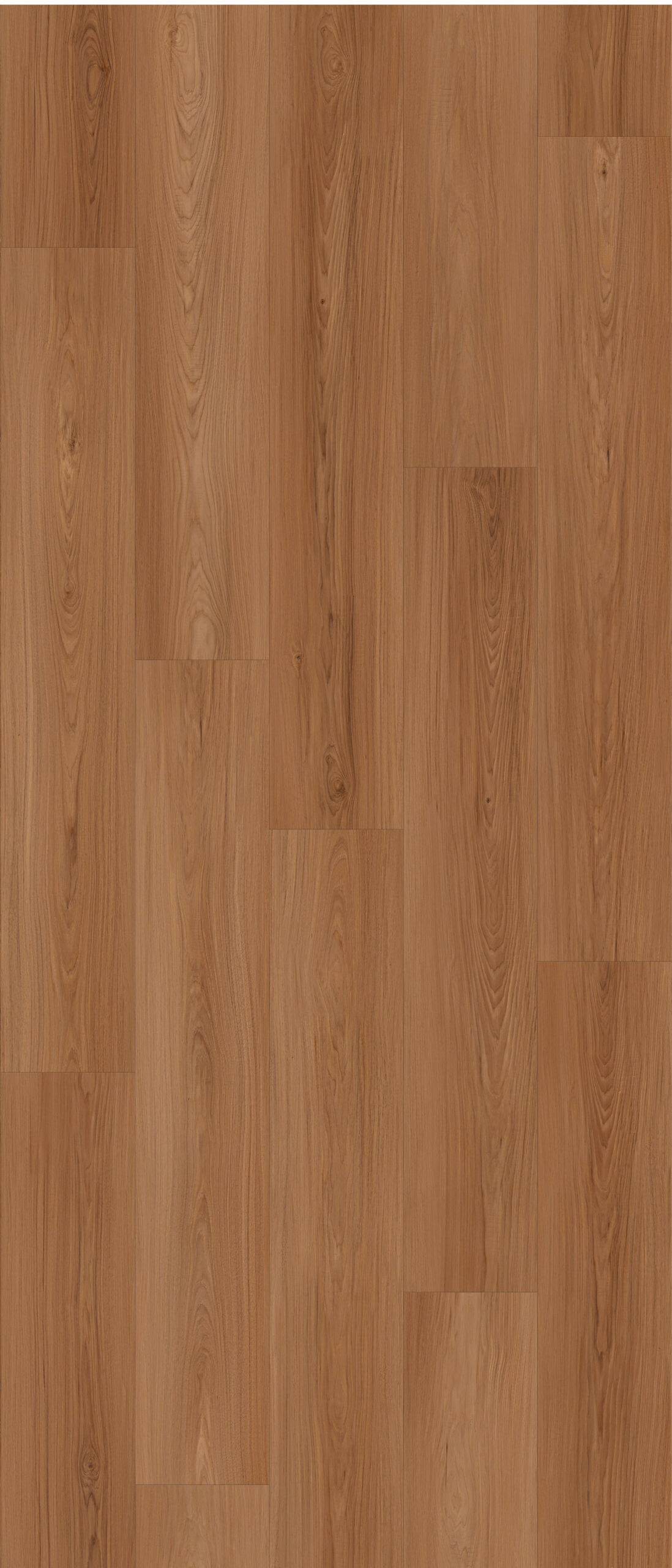 NG207 - Caldera Ash