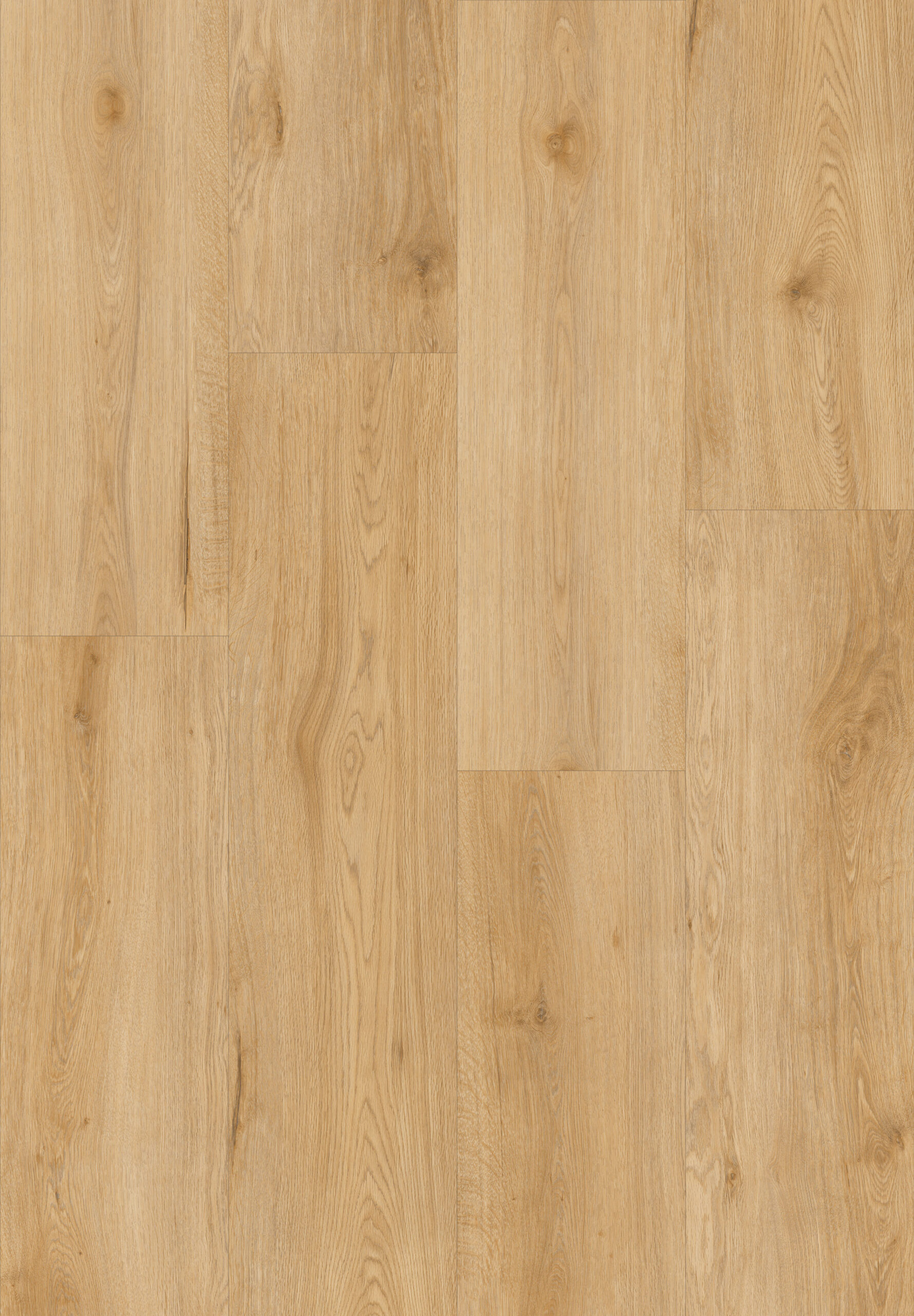 PS80 - Calabria Beech