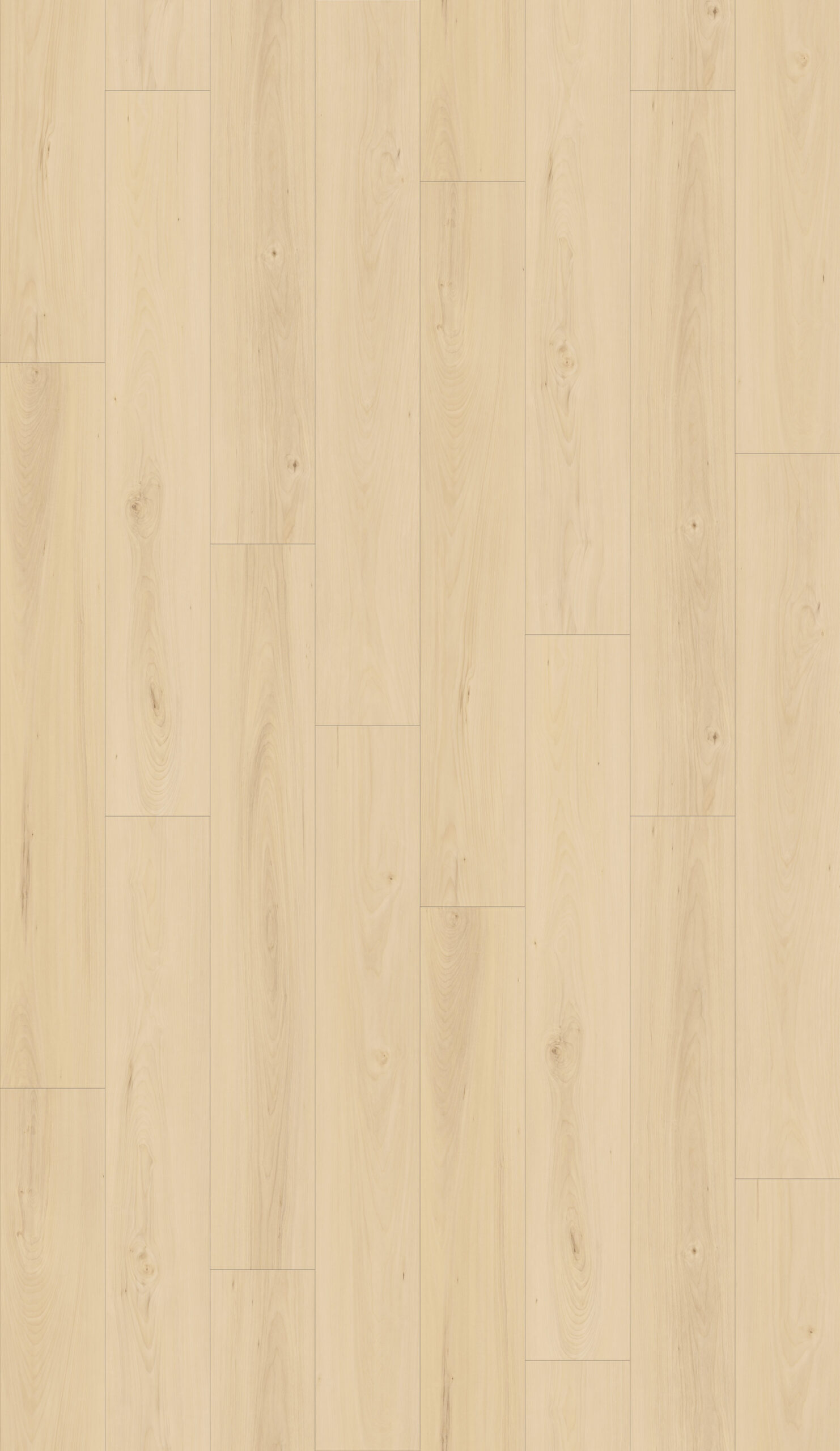 SS100 - Nordic Maple