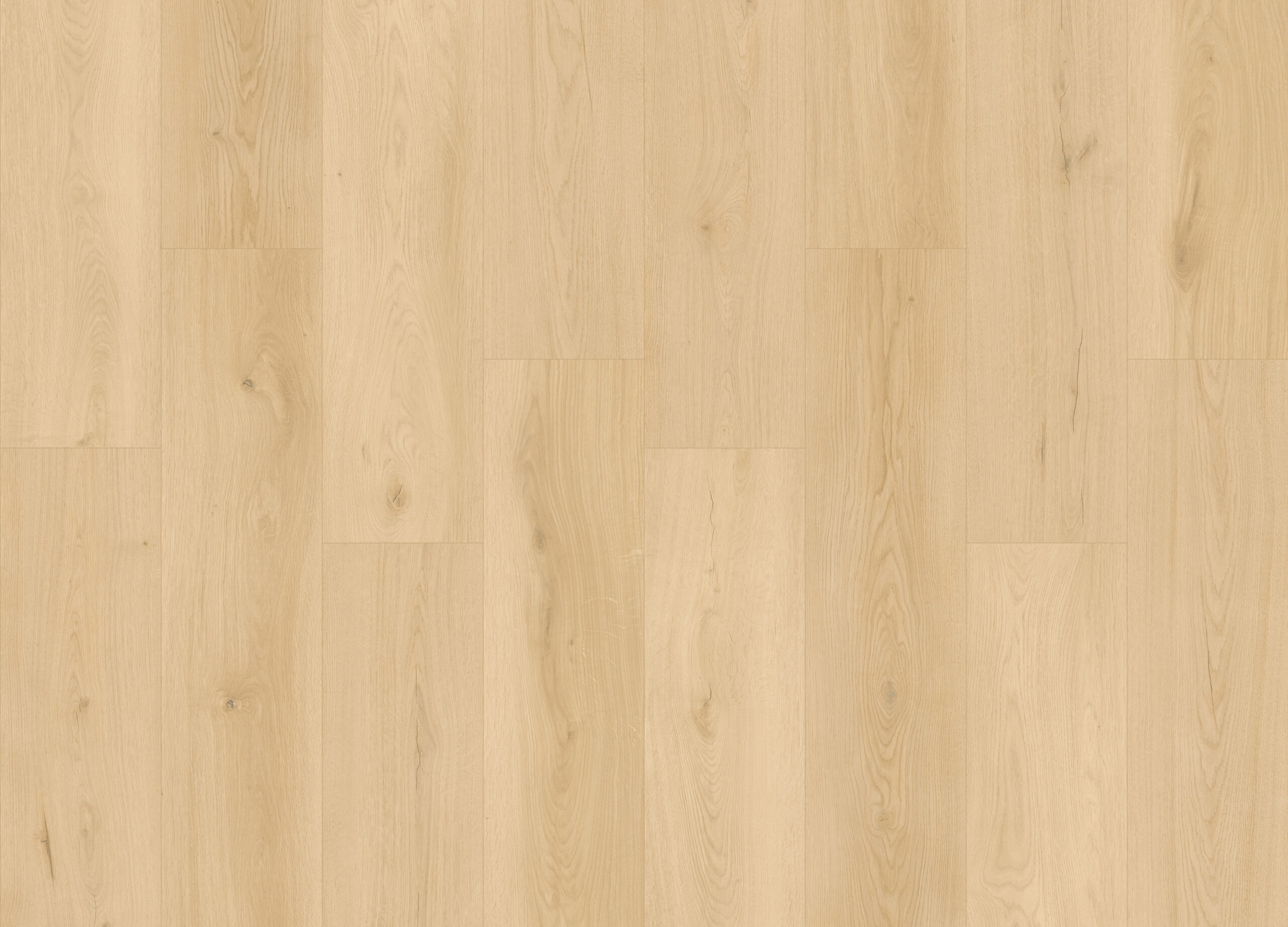SS101 - Sage Oak