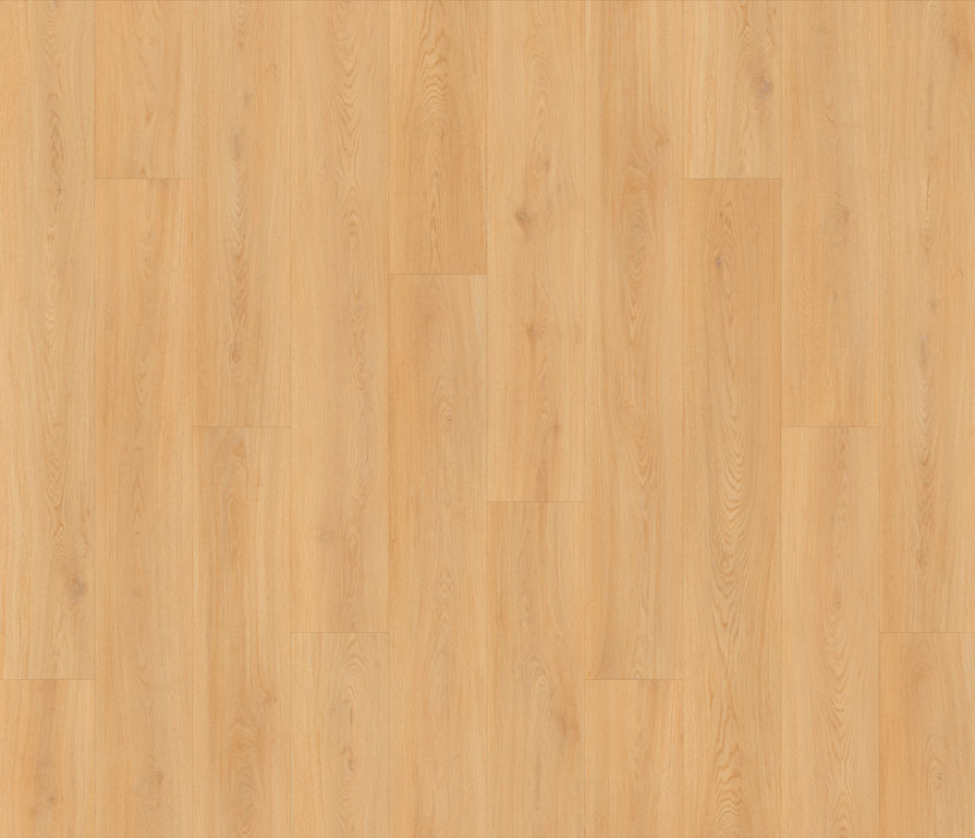 SS103 - Southern Live Oak