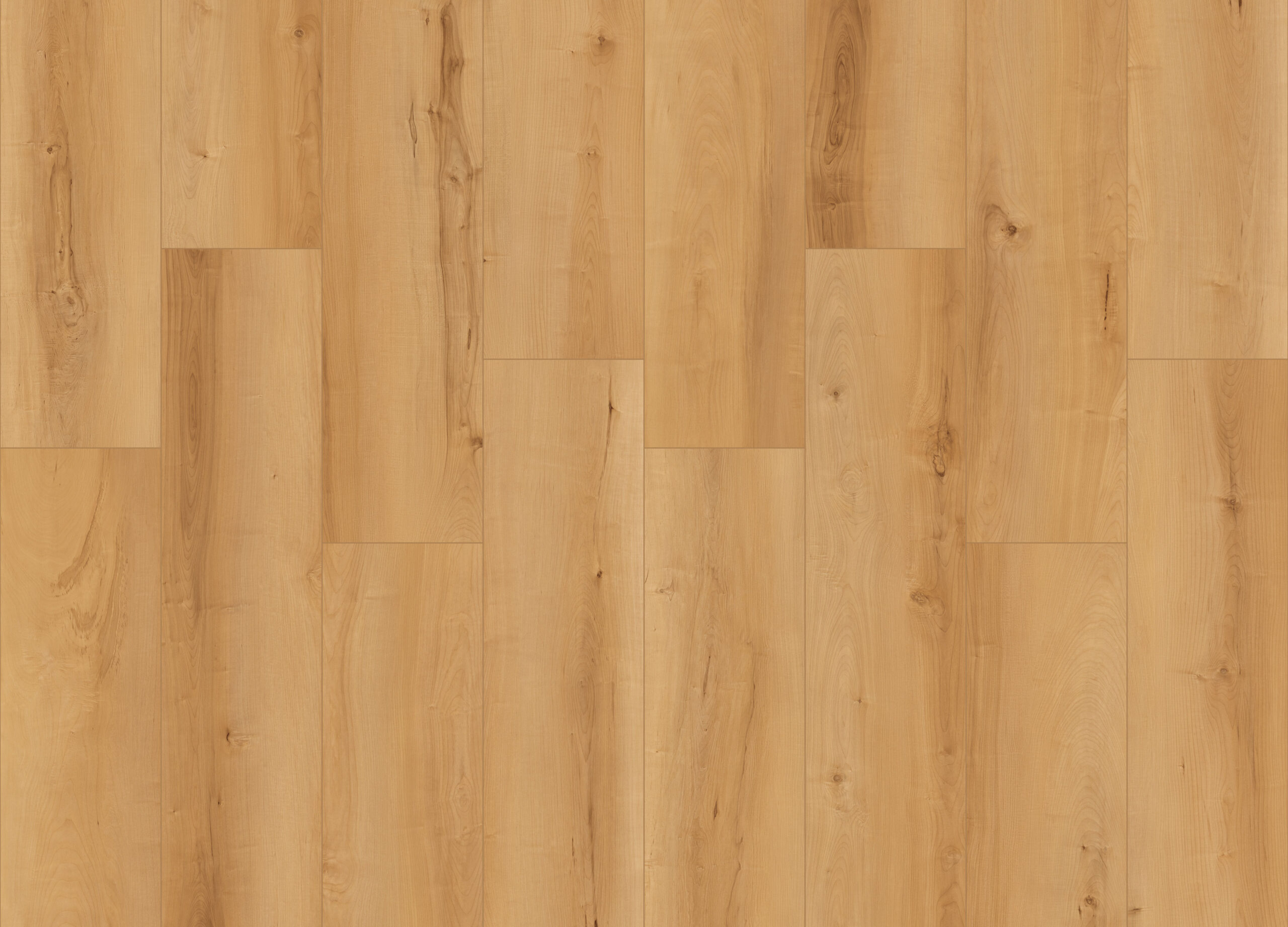 SS108 - Beauly Elm