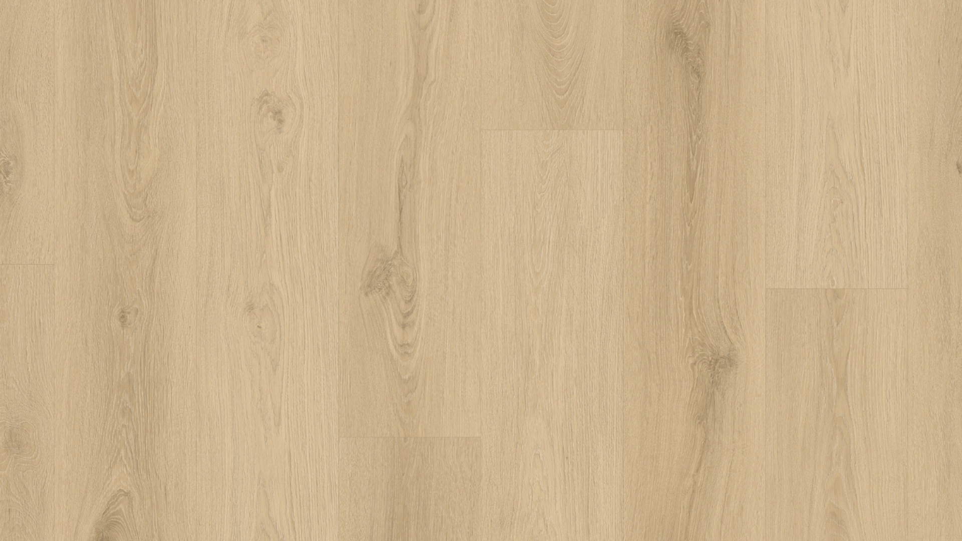 10SS138- Arcadia Elm