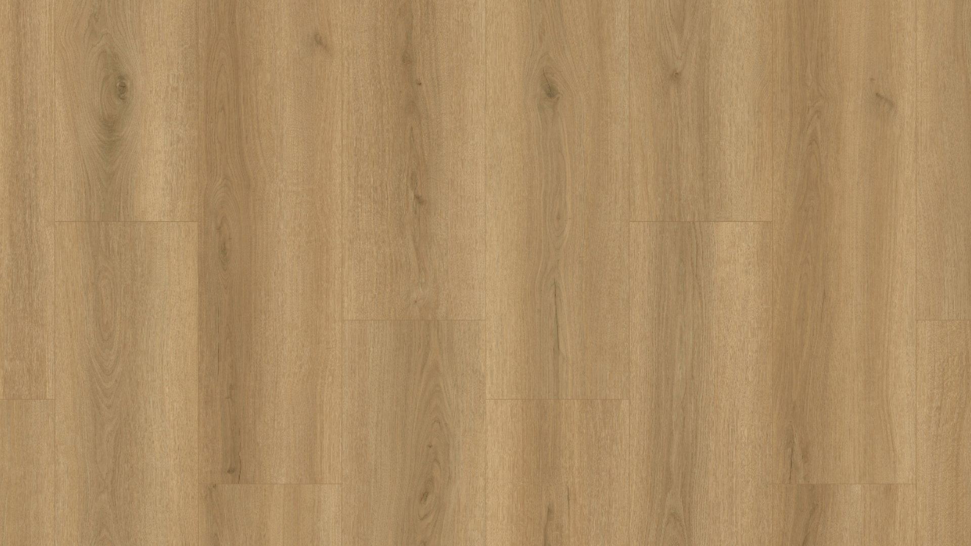 1SS132- Melbourne Ash