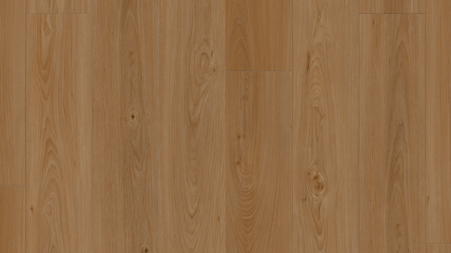 2SS135- Europeon Almond Oak