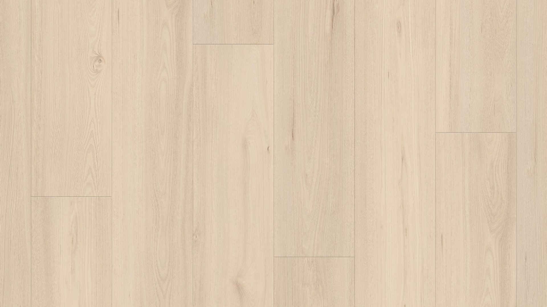 3SS137- Tasmanian White Oak