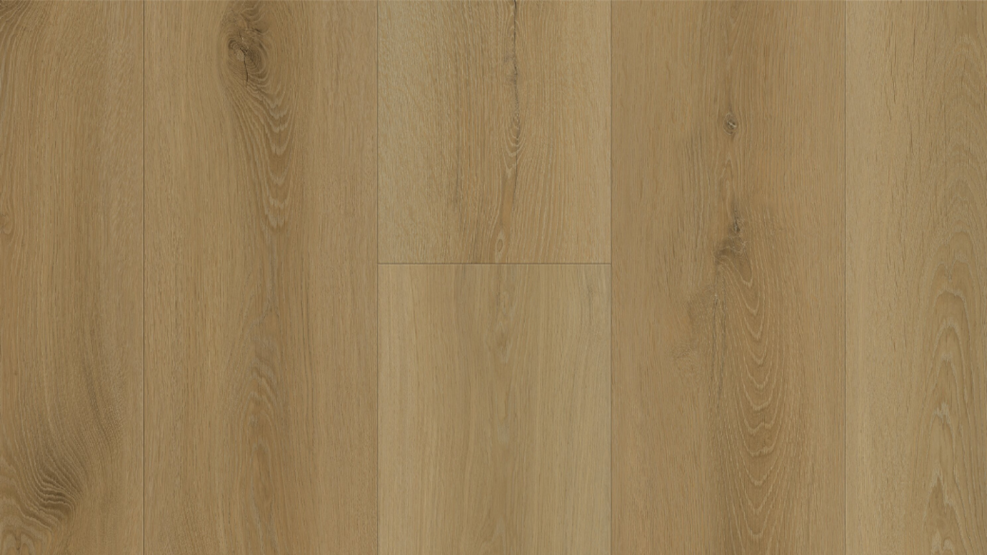 5NG204- Plumed Maple
