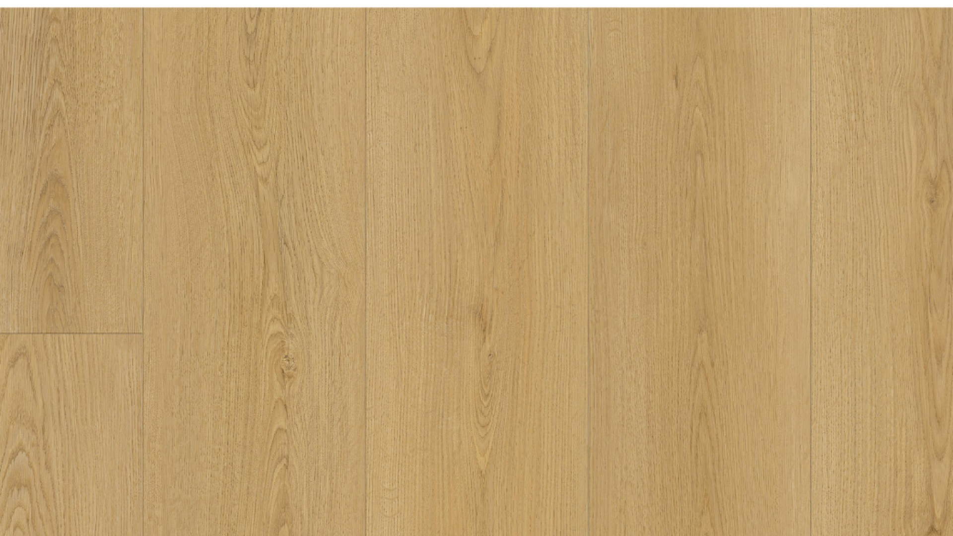 7NG206- Halo Oak