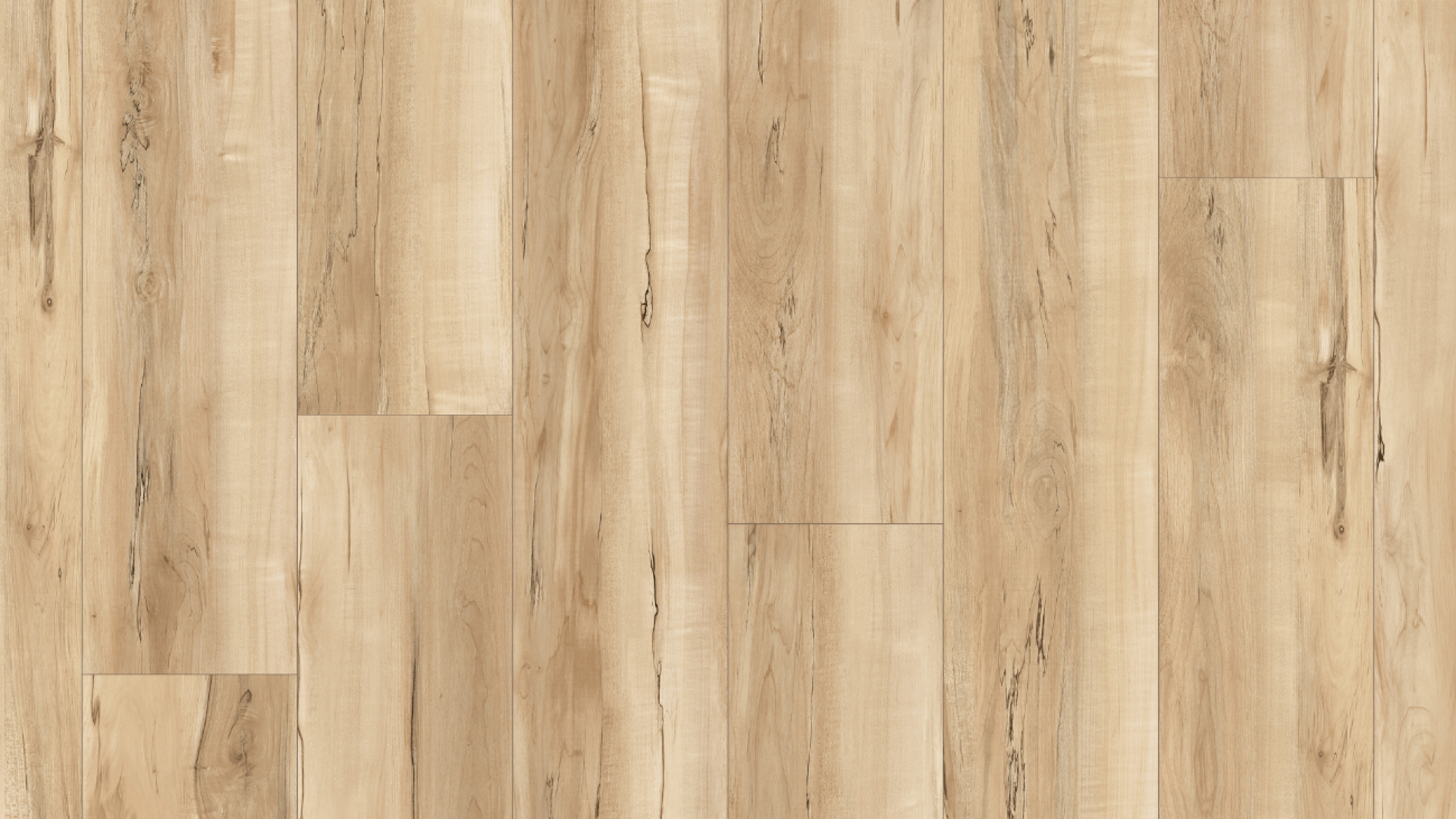 9SS133- Spalted Maple Ambrosia