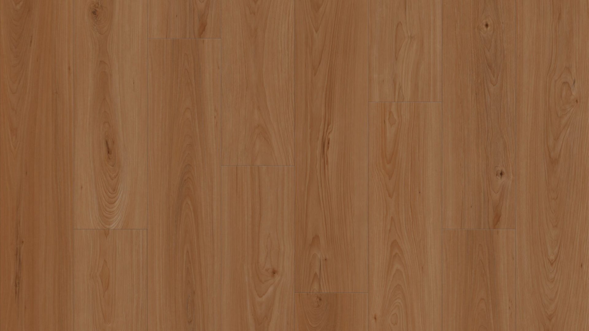 ES135 - European Almond Oak