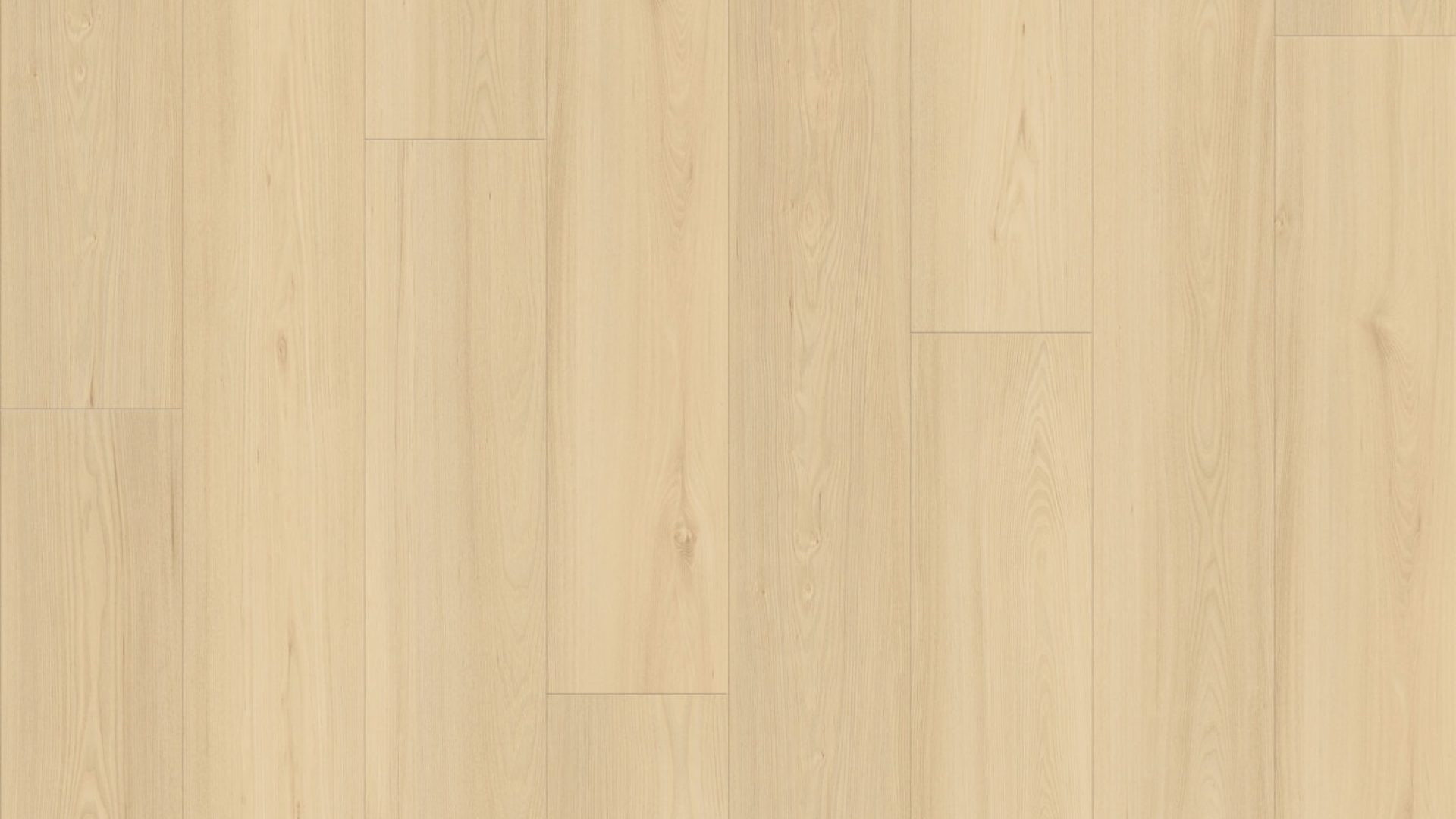 ES137 - Tasmaniam White Oak