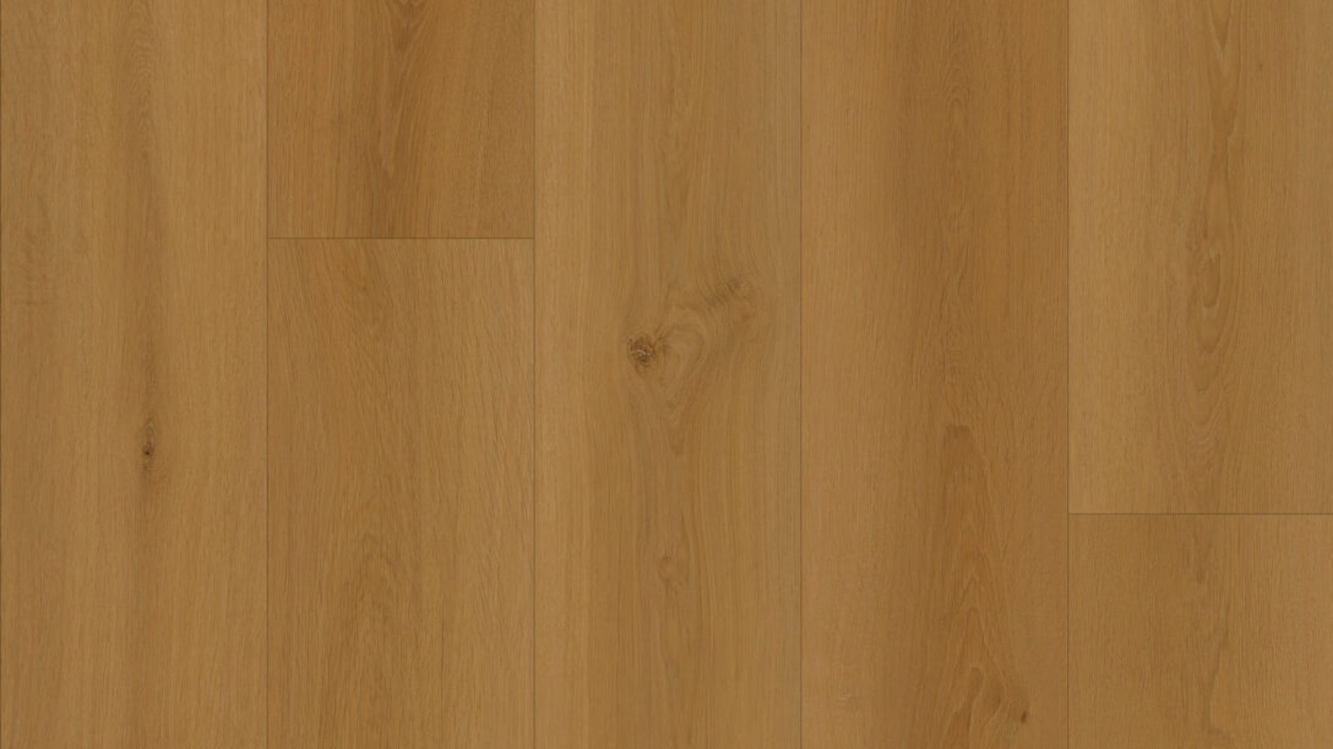 NG204 - Plumed Maple