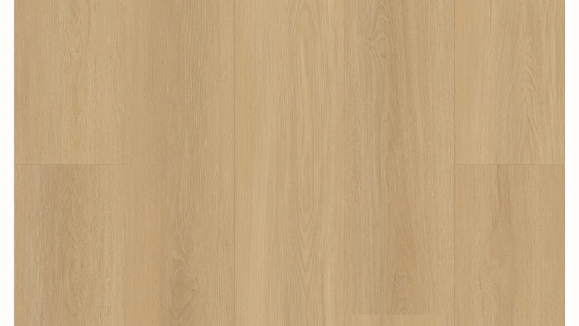 NG205 - Golden Dahlia
