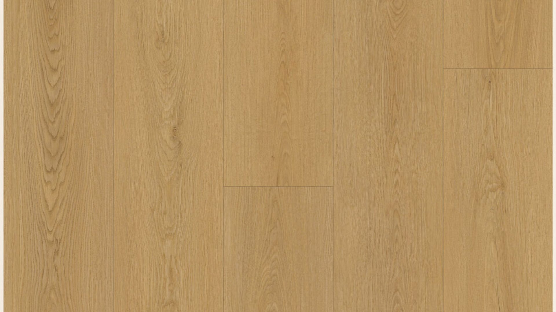 NG206 - Halo Oak