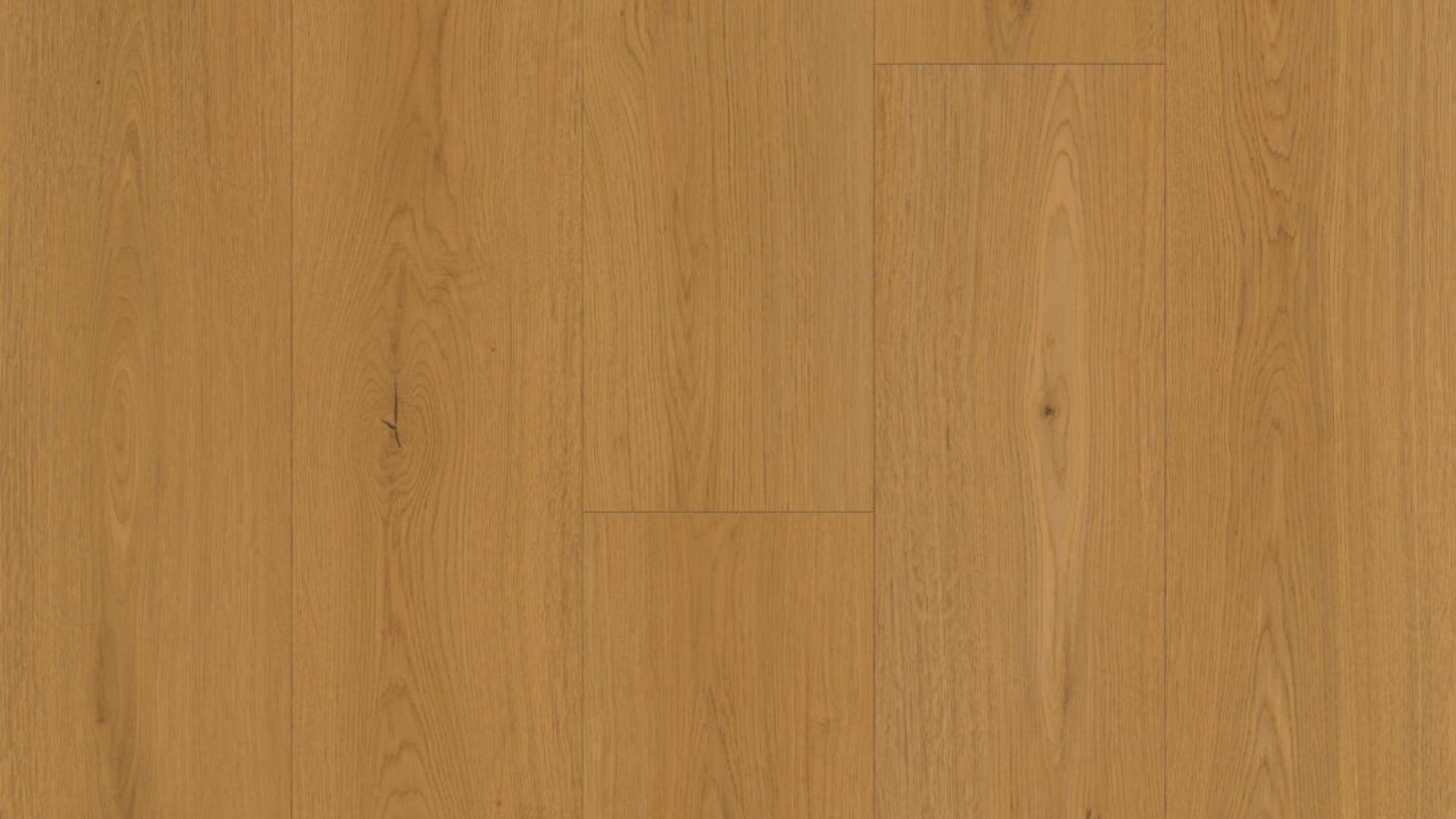 NG209 - Reclaimed Aspen
