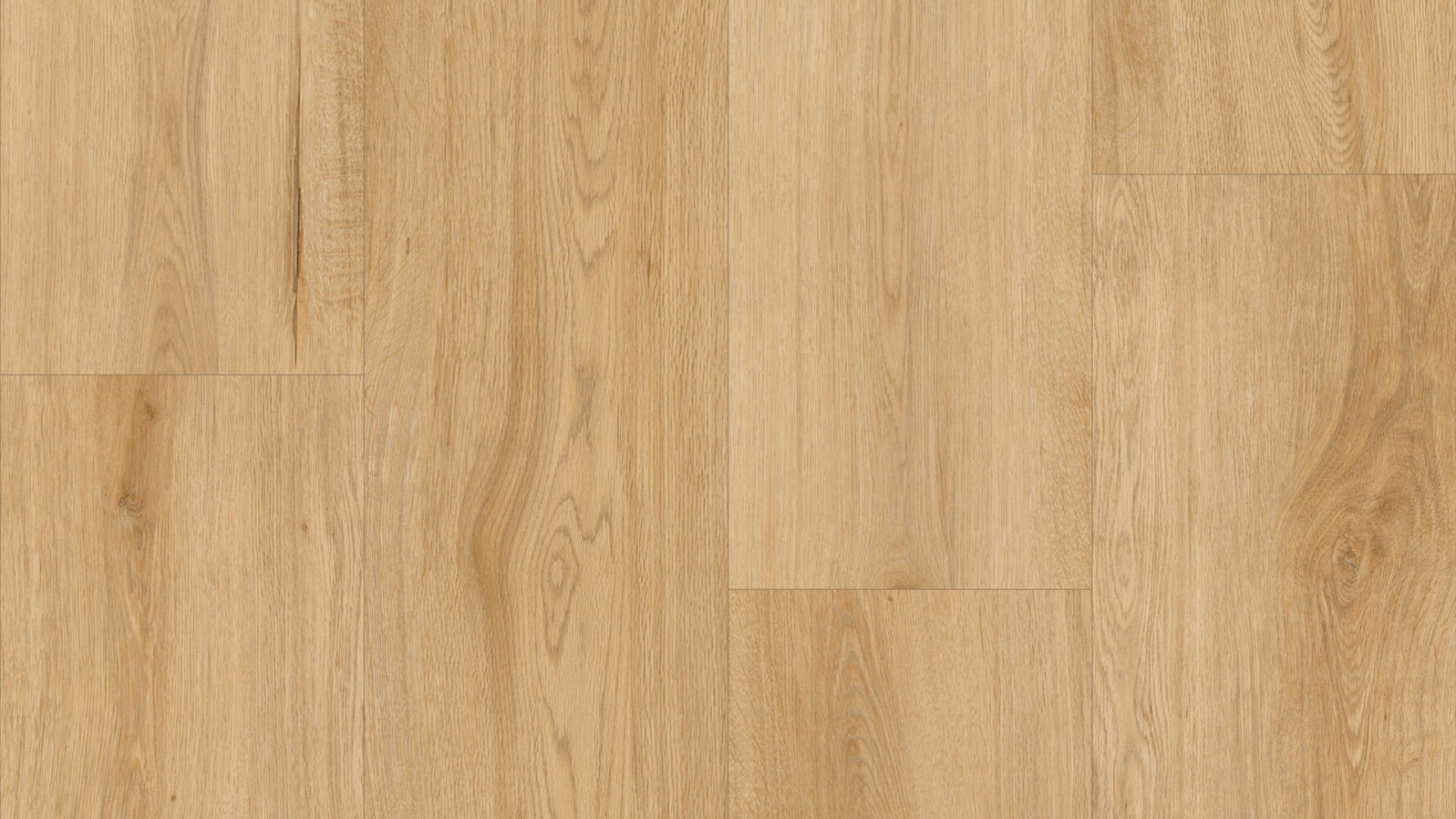 PS80 - Calabria Beech