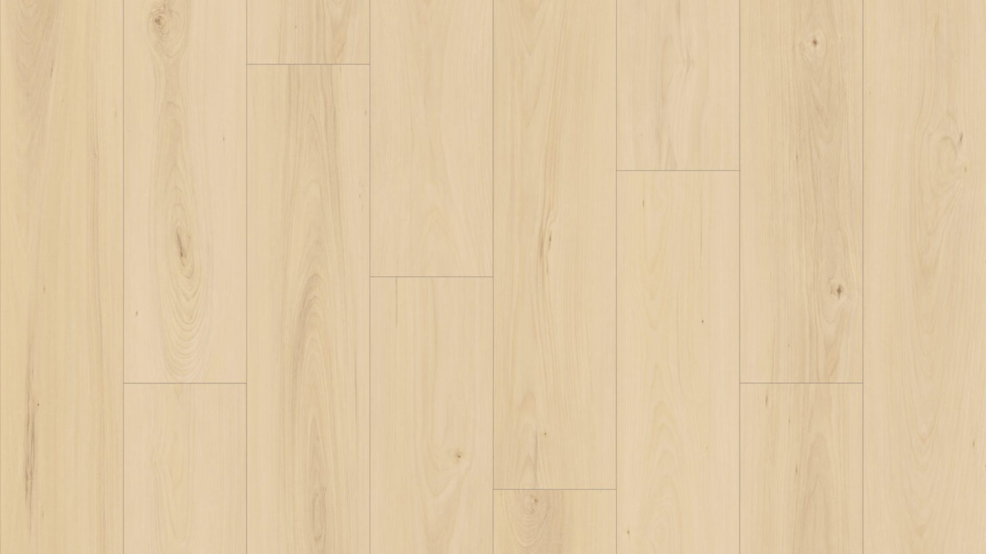 SS100 - Nordic Maple