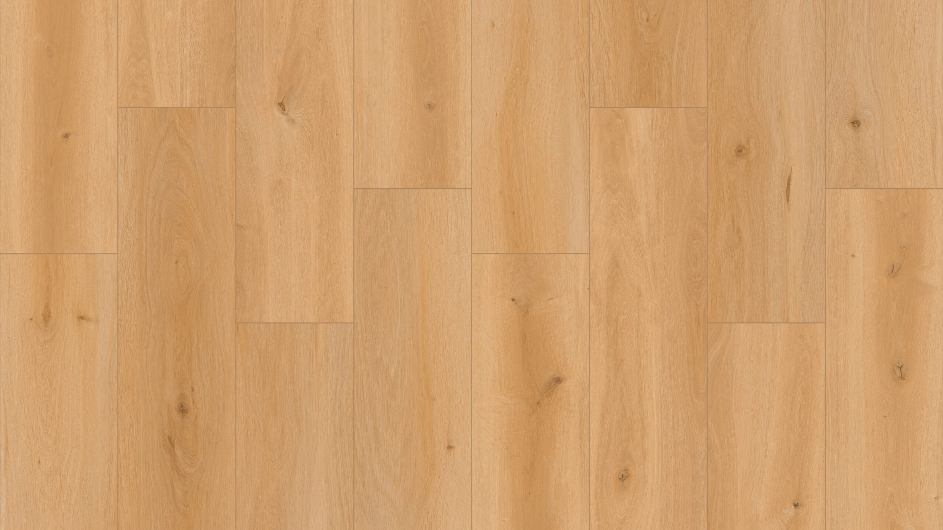 SS104 - Capetown