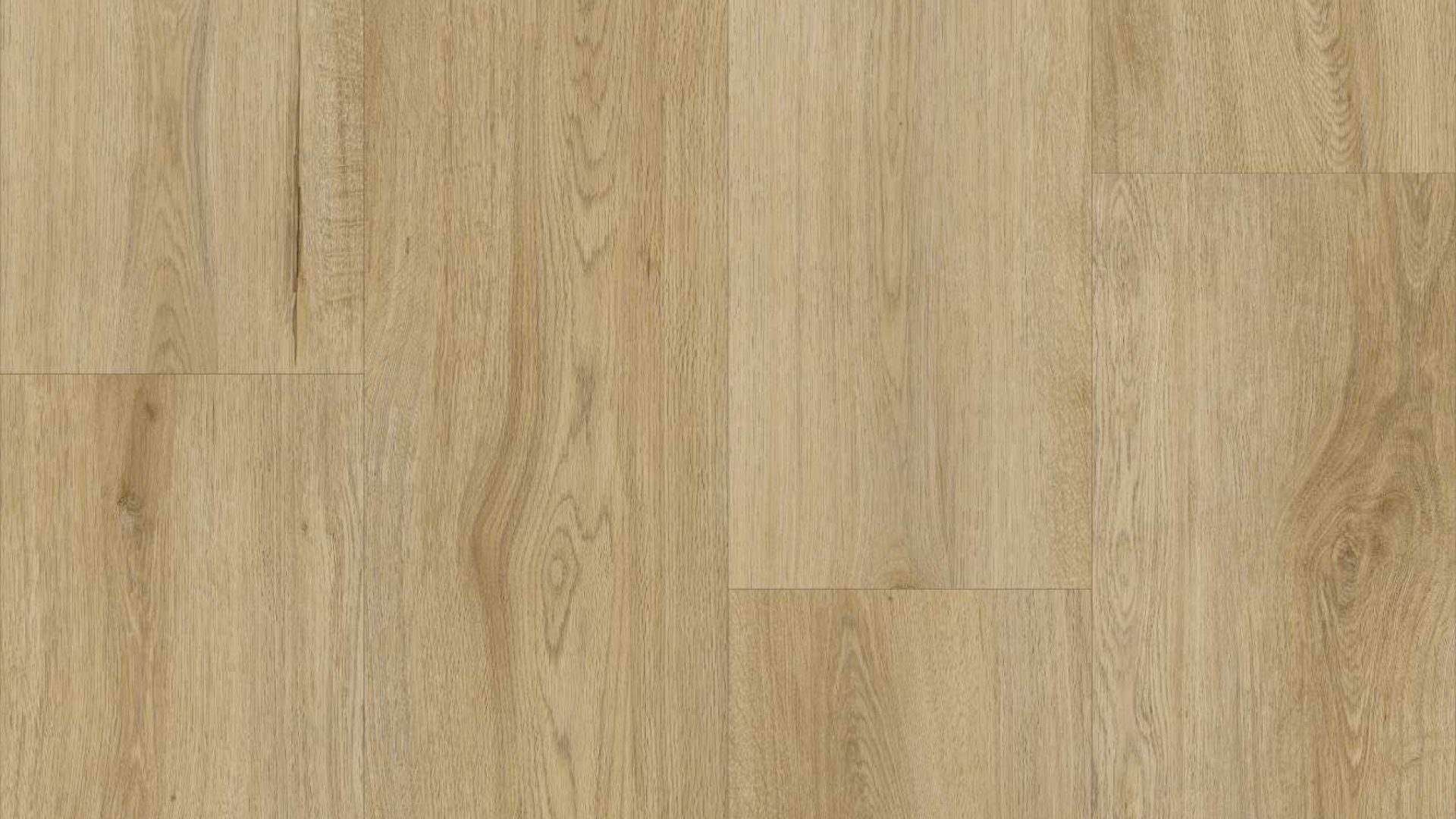 PS80 - Calabria Beech