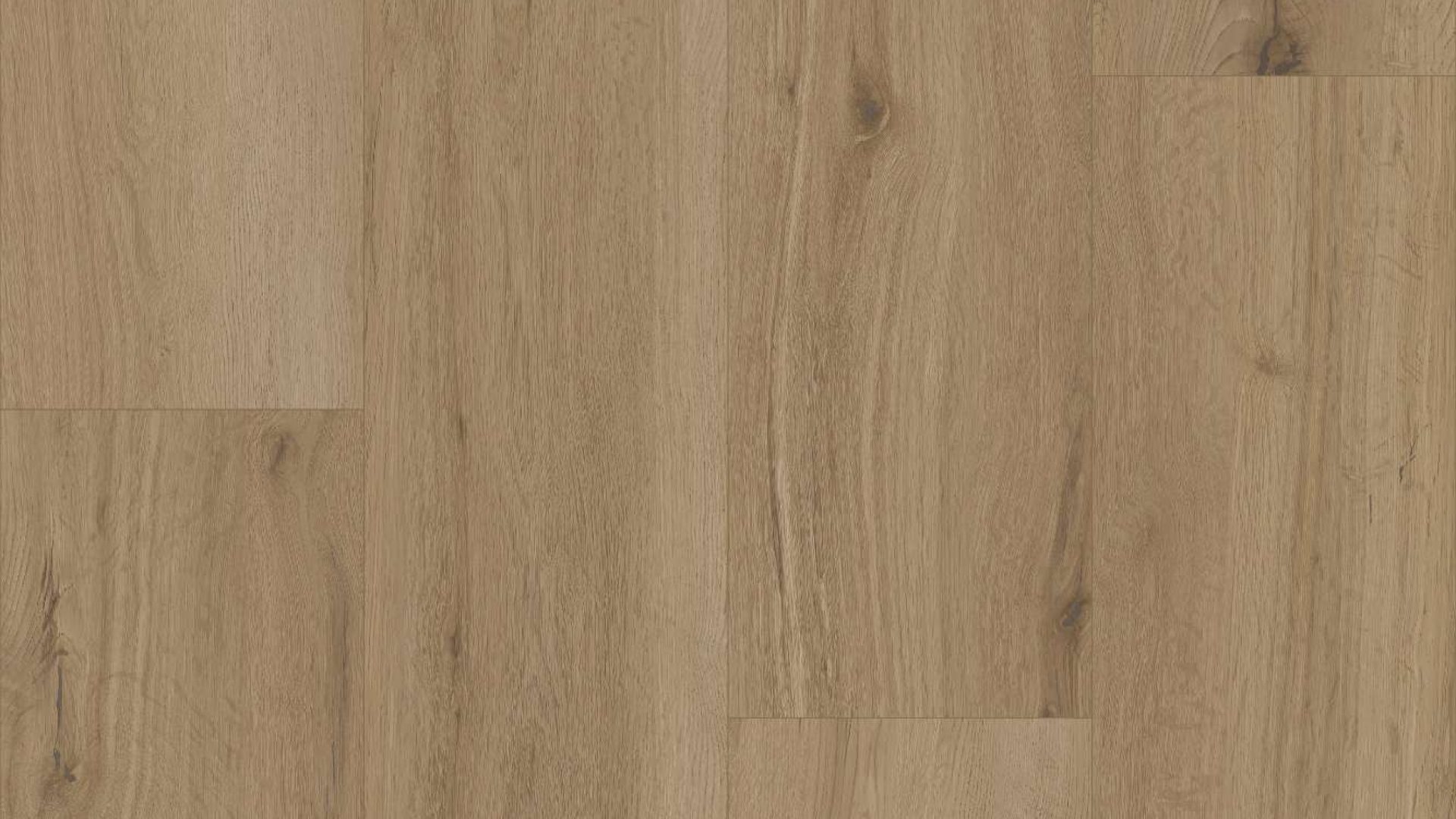 PS84 - Imola Ash