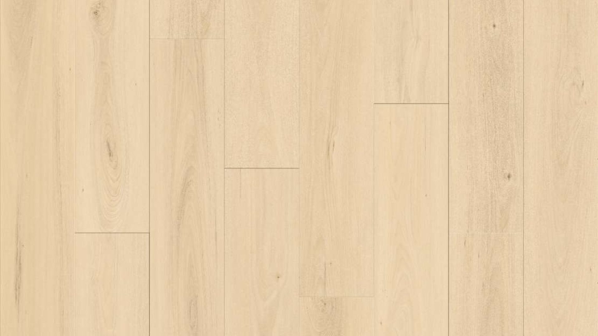 SS100 - Nordic Maple