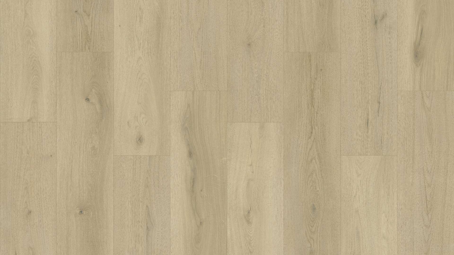 SS101 - Sage Oak