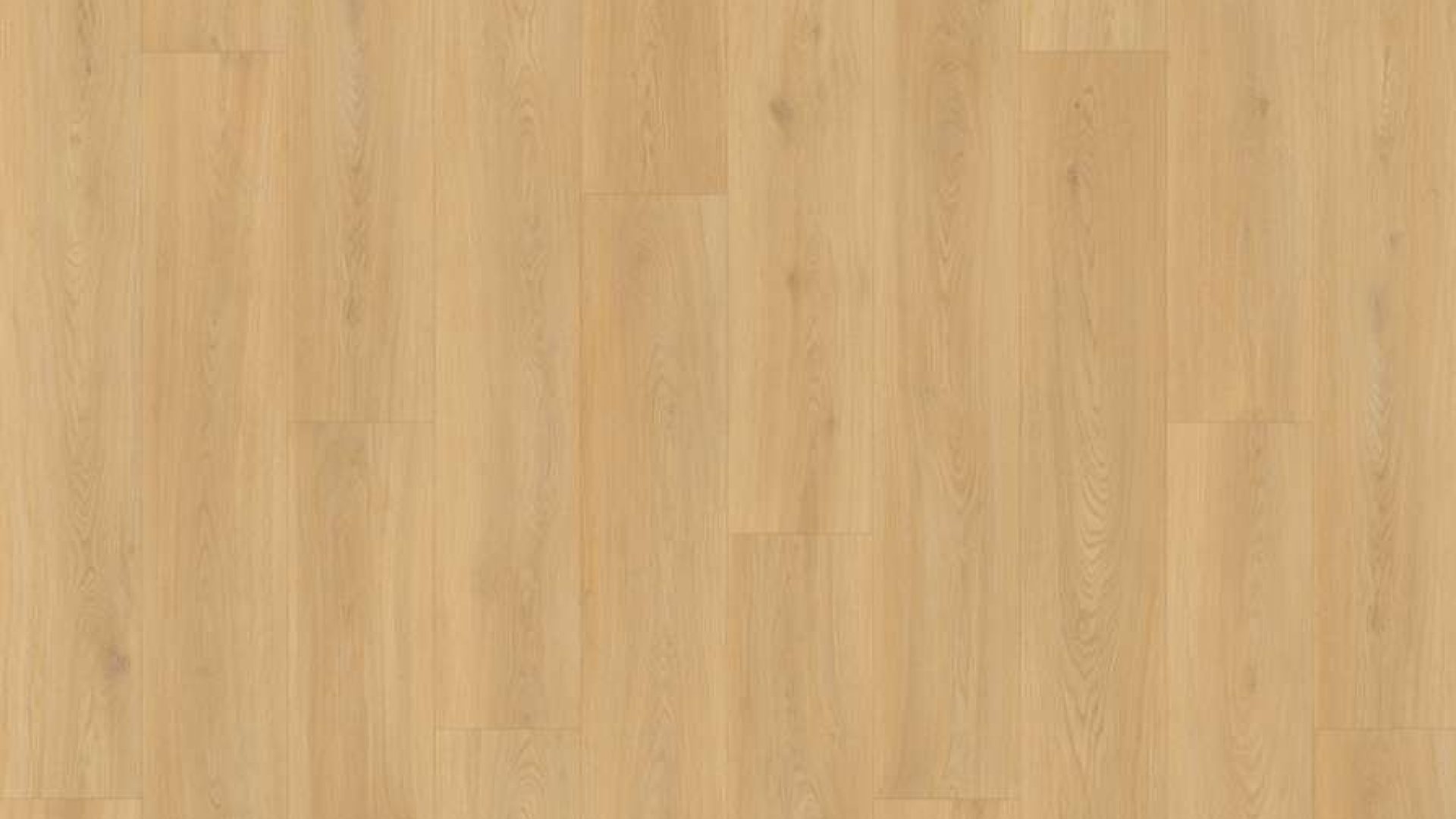 SS103 - Southern Live Oak