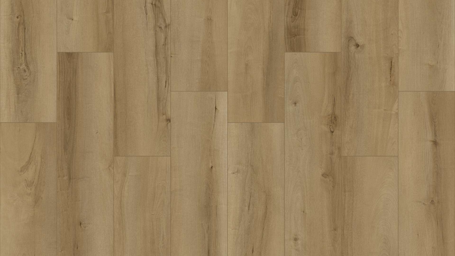 SS108 - Beauly Elm